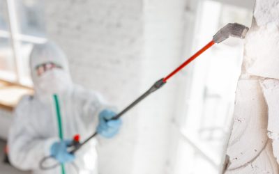 Mold Remediation in Anna, TX: Mitigating the Menace