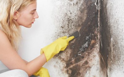 Mold Removal Regulations: Navigating McKinney’s Compliance Landscape