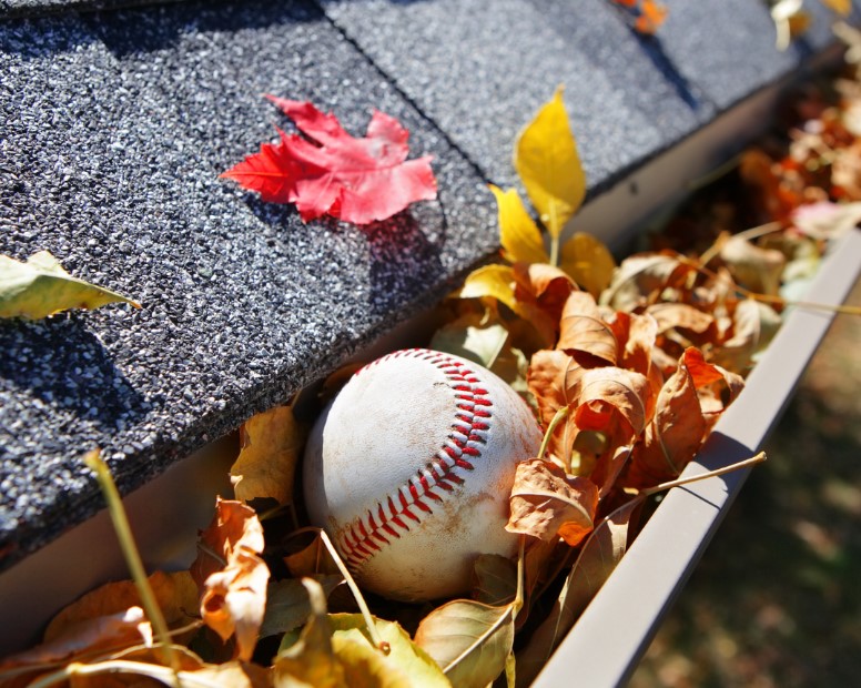 Roof Maintenance Tips