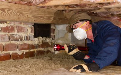 5 Steps to Effective Crawl Space Mold Remediation