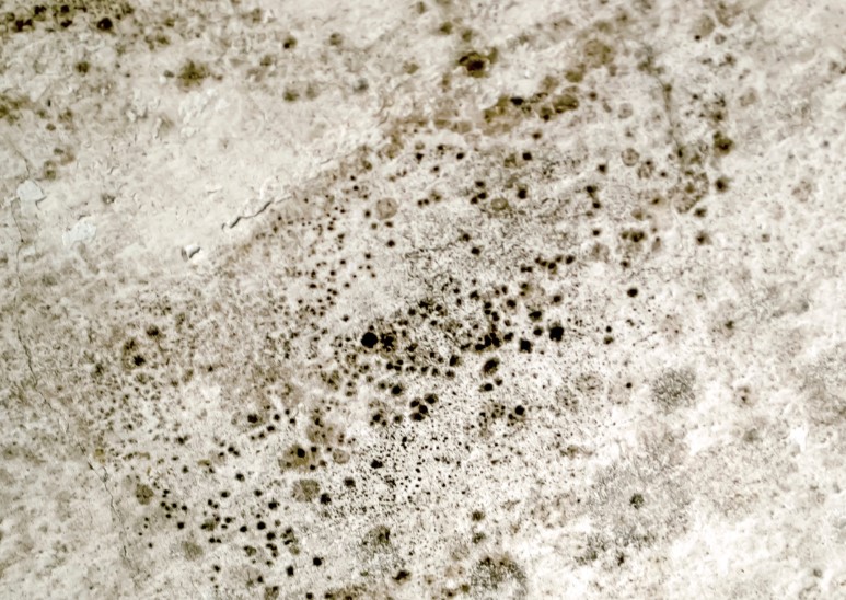 Remove Affected Materials