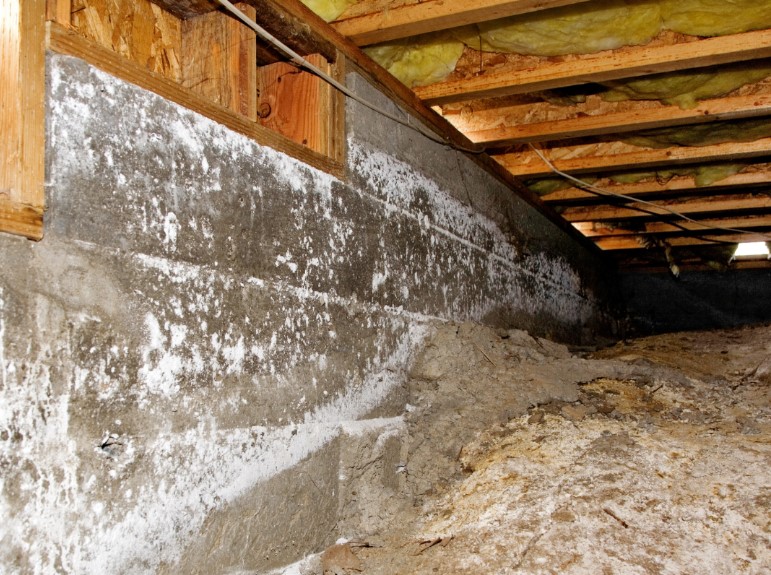 Steps to Effective Crawl Space Mold Remediation