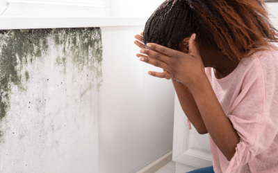 Identifying Mold in Your Home and Next Steps