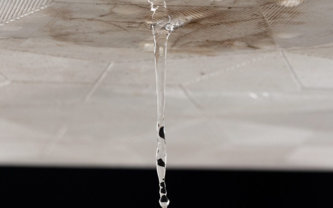 Common Causes of Household Water Leaks