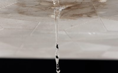 Common Causes of Household Water Leaks