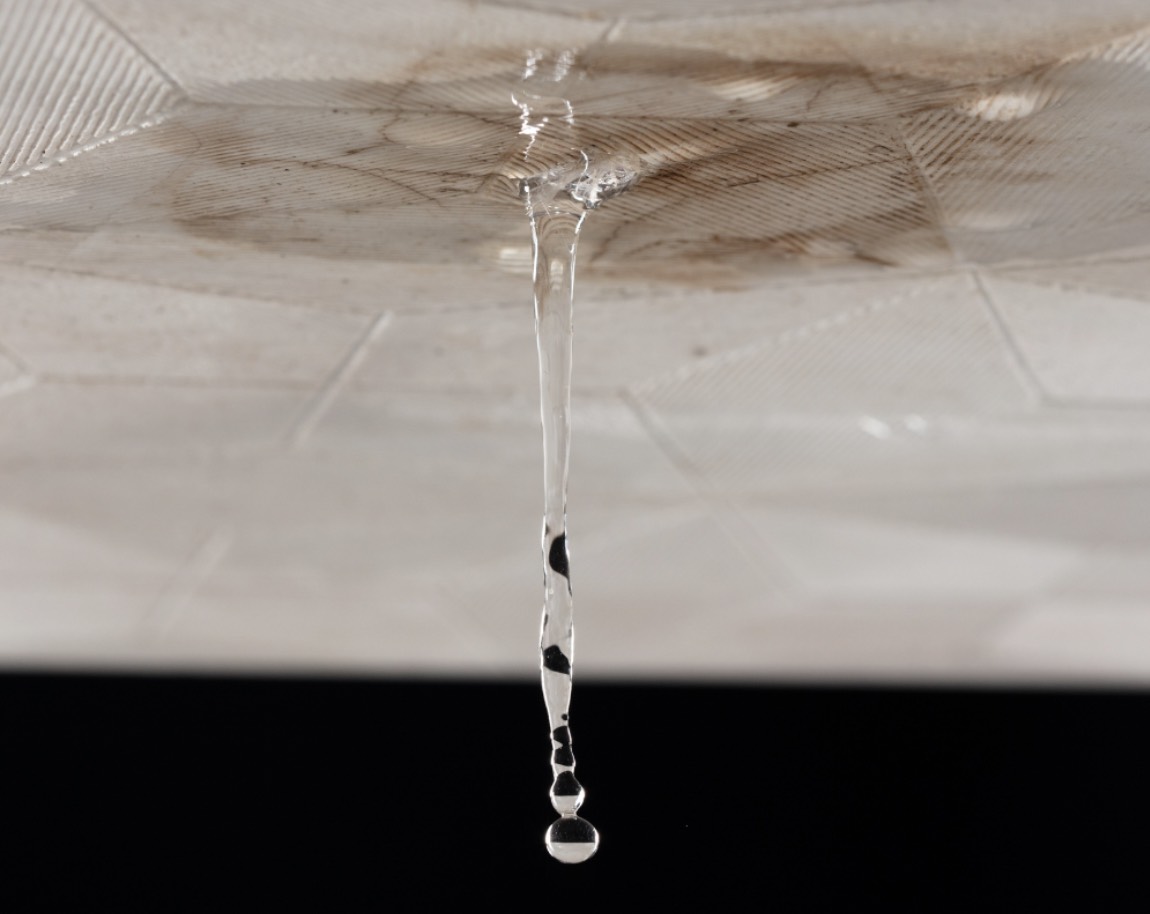 Common Causes of Household Water Leaks