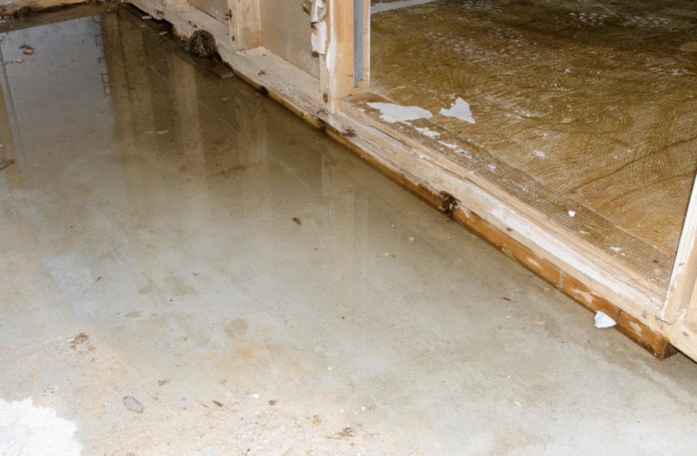Water Damage Restoration and Mitigation
