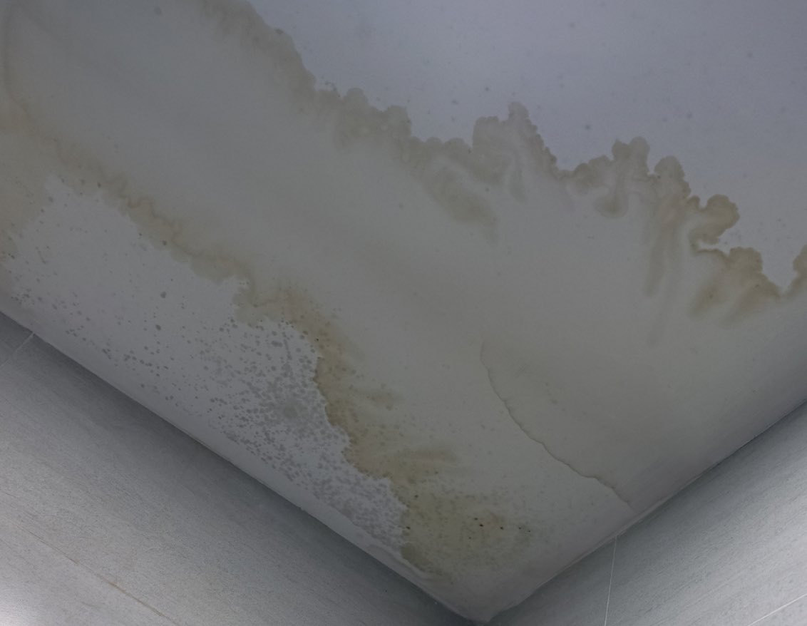 Signs of Roof Damage to Look For