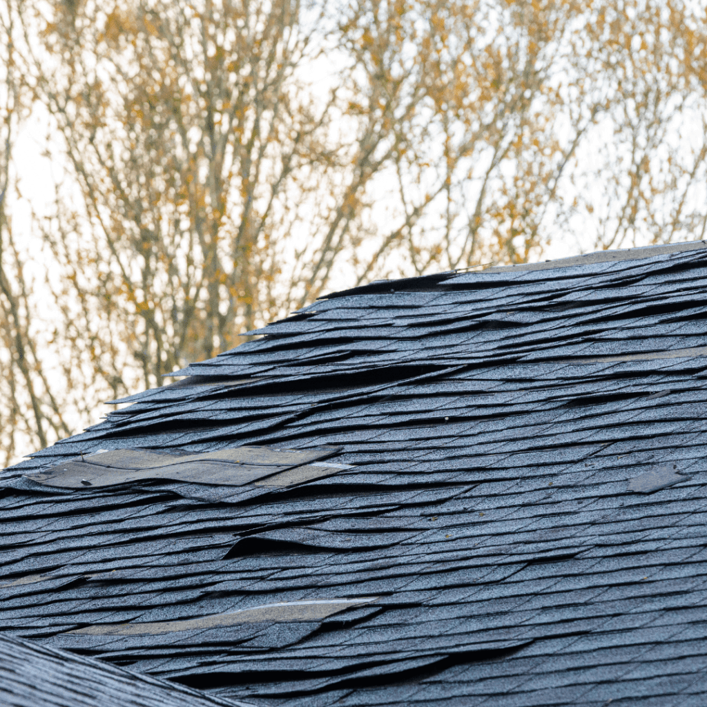 roof replacement