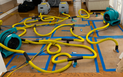 Preventing Mold and Water Damage From Poor Roof Drainage