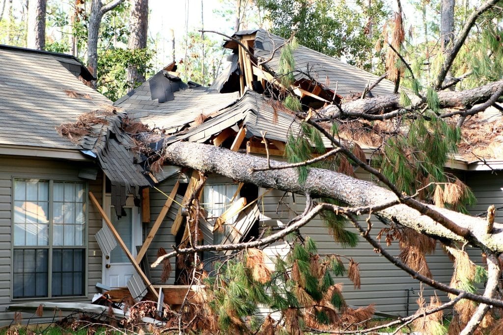 storm damage repair