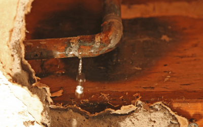 How to Identify Hidden Water Damage in Your Home in Highview Lane, Anna