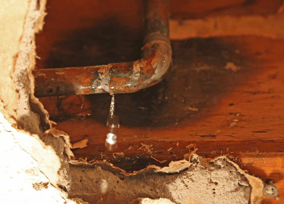 How to Identify Hidden Water Damage in Your Home in Highview Lane, Anna