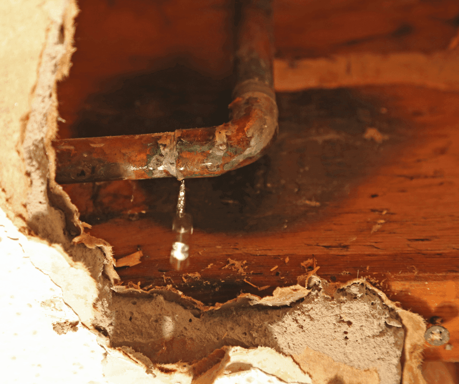 How to Identify Hidden Water Damage in Your Home in Highview Lane