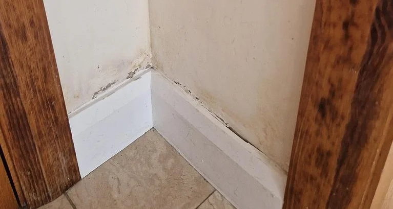 How to Identify Hidden Water Damage in Your Home in Highview Lane