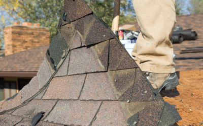Residential Roofing Tips from Local Experts