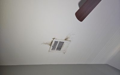 Case Study #2: Mold Remediation and HVAC Correction in Melissa, TX