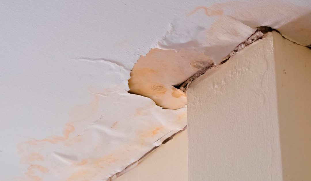 Hidden Water Damage