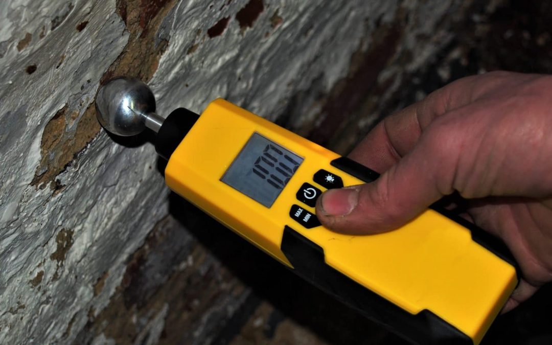 Technician inspecting baseboards with a moisture meter in a McKinney home