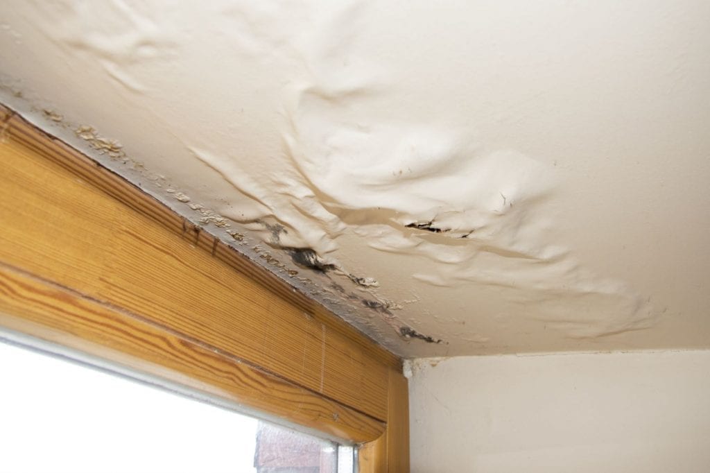 Ceiling leak causing water intrusion