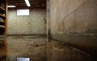Why Water Mitigation Is the Most Important Step After a Leak or Flood