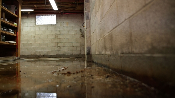 Standing water removed but moisture still present in walls