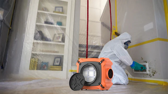 Air filtration system operating during mold remediation
