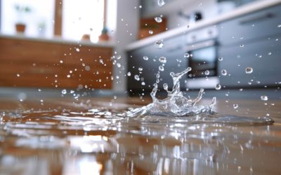 Expert Water Damage Restoration and Mold Removal Services for Homes in Anna, TX