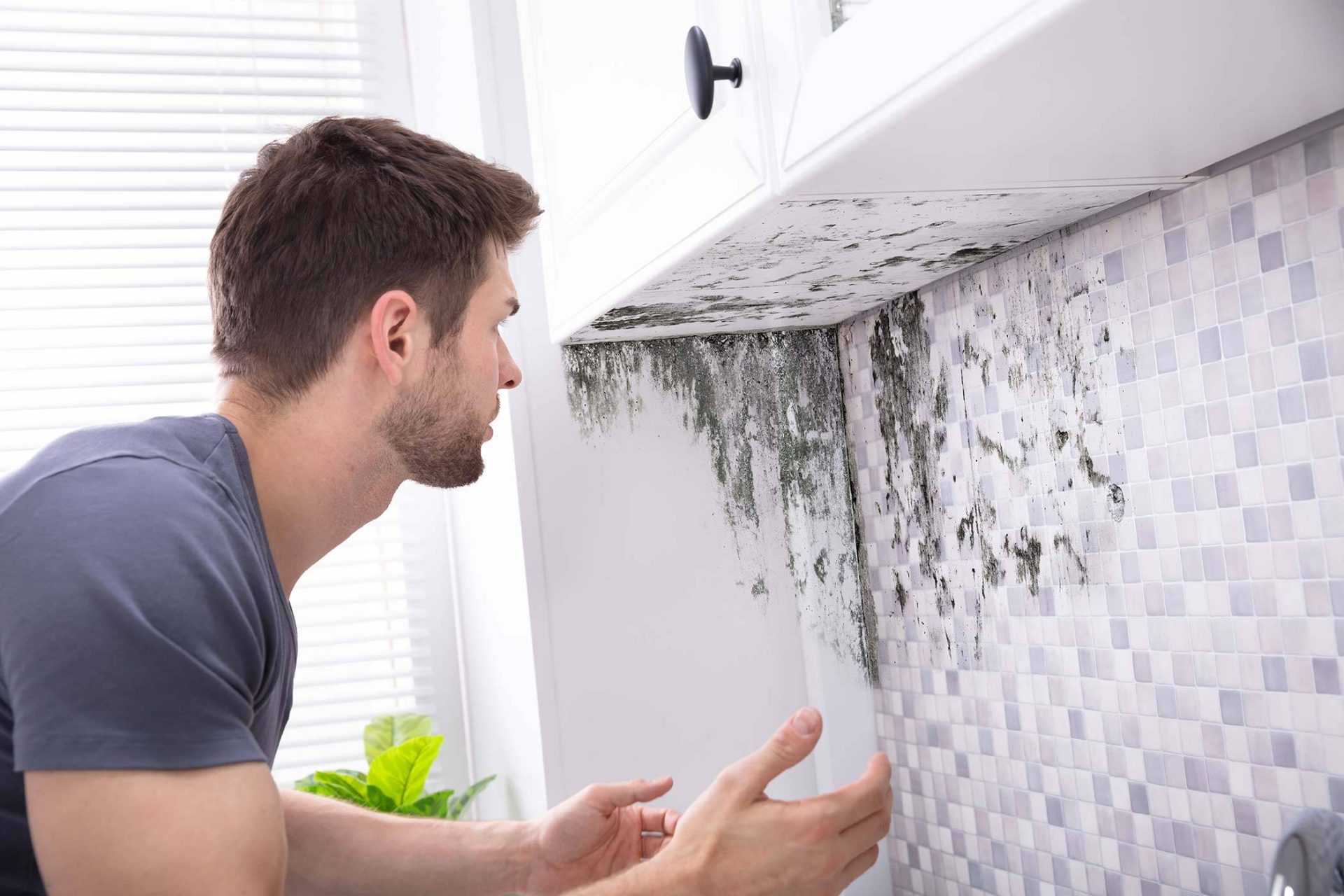Improper DIY mold cleanup attempt
