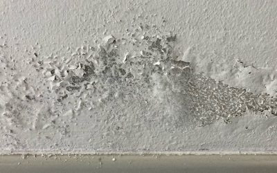 Why Mold Often Returns After Improper Cleanup and How Remediation Prevents It