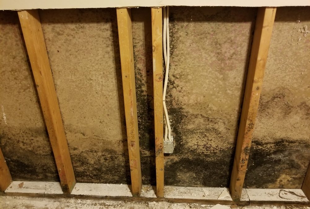 Wall section cut open to show hidden moisture behind drywall
