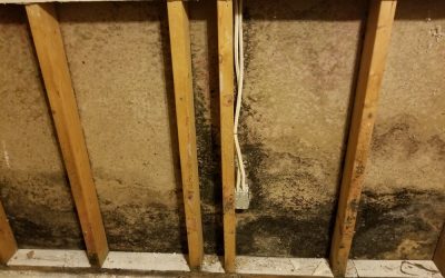 How Water Damage Alters Building Materials Long Before Stains Appear