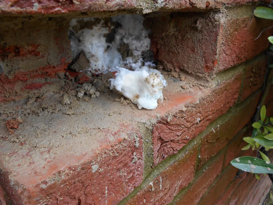 Wet insulation removed from a wall cavity