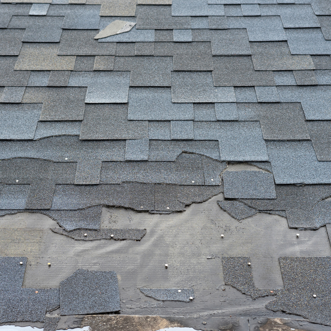 roof-repair