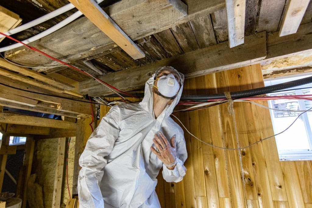 professional mold removal technician scrubbing attic rafters McKinney