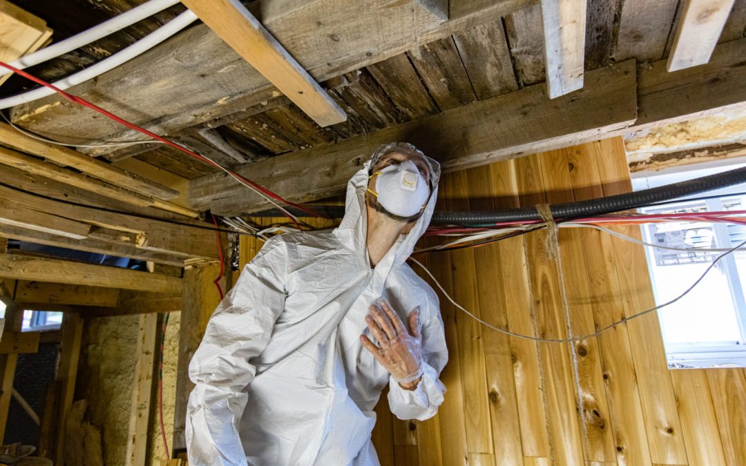 professional mold removal technician scrubbing attic rafters McKinney