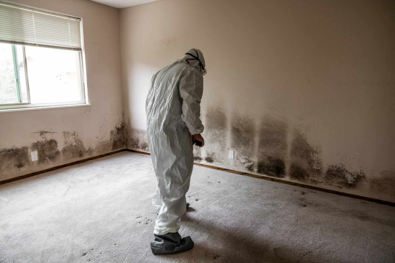 restoration professional in protective gear sanitizing a wall after water mitigation