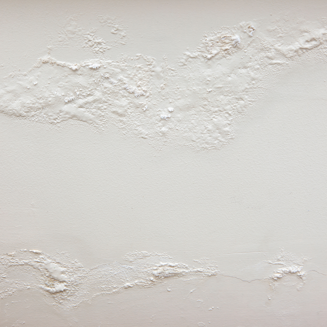 mold