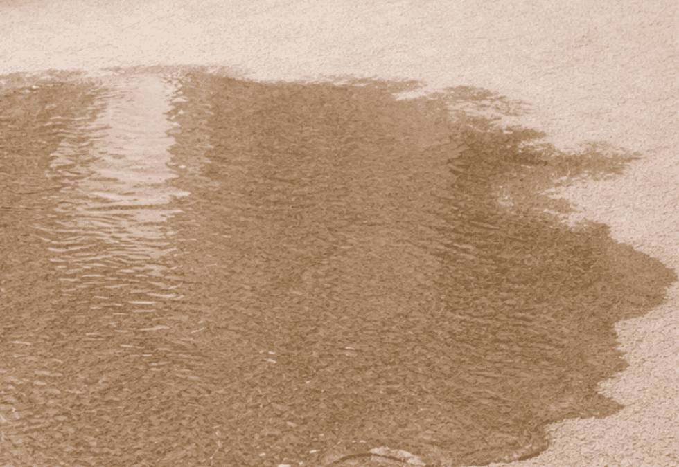 water-leak