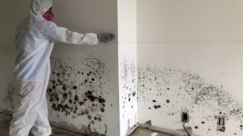 Certified mold removal and remediation process inside a water-damaged building