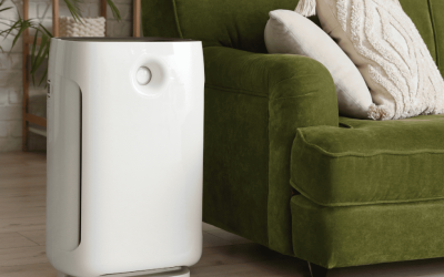 Mold Removal in McKinney, TX: Do Air Purifiers Help With Mold?