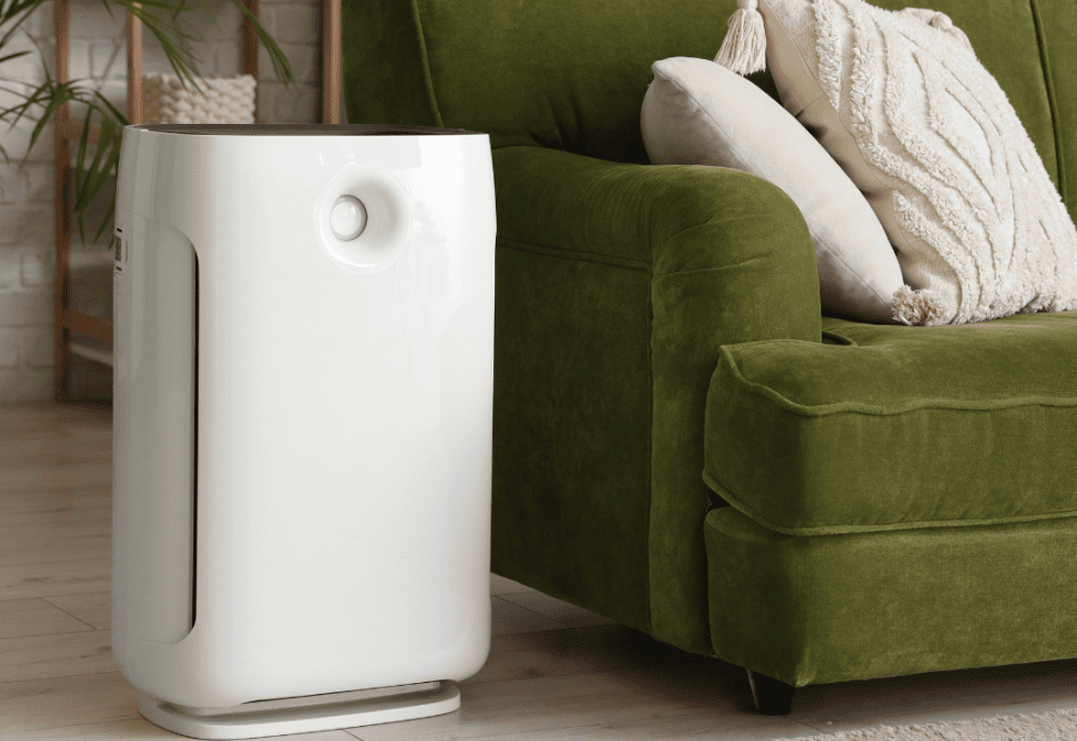 Mold Removal in McKinney, TX: Do Air Purifiers Help With Mold?
