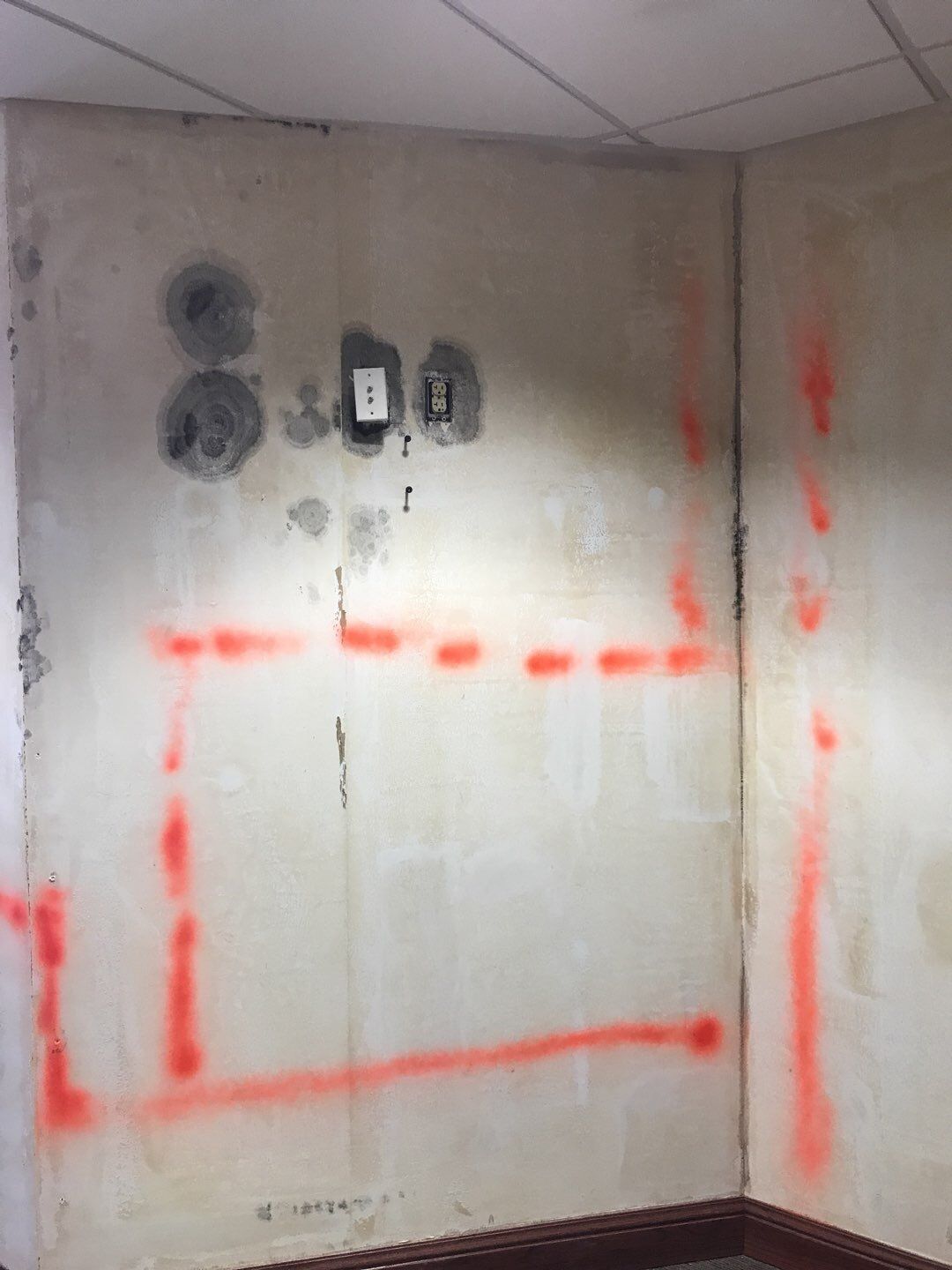 commercial mold removal