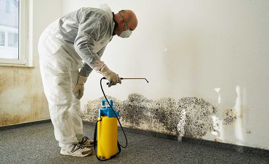 Licensed mold removal services in McKinney, TX, performed by Rainy Day Restoration and Roofing.