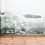 The Mold Remediation Checklist Every McKinney, TX Property Owner Should Run Before It Spreads