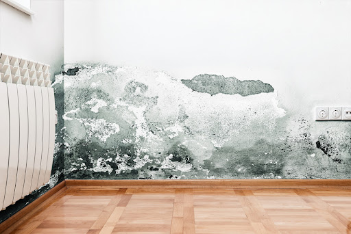 Professional assessing mold conditions in McKinney, TX home to determine mold remediation needs
