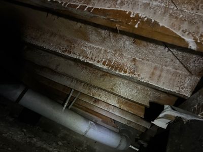 Exposed crawlspace floor joists with white discoloration and a pipe below.