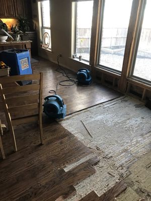 Two blue air movers placed on a wood floor near large windows with sections of flooring removed.