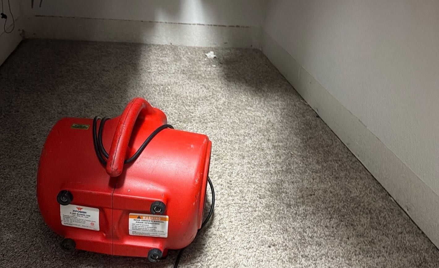 Wet Carpet completed repair placeholder