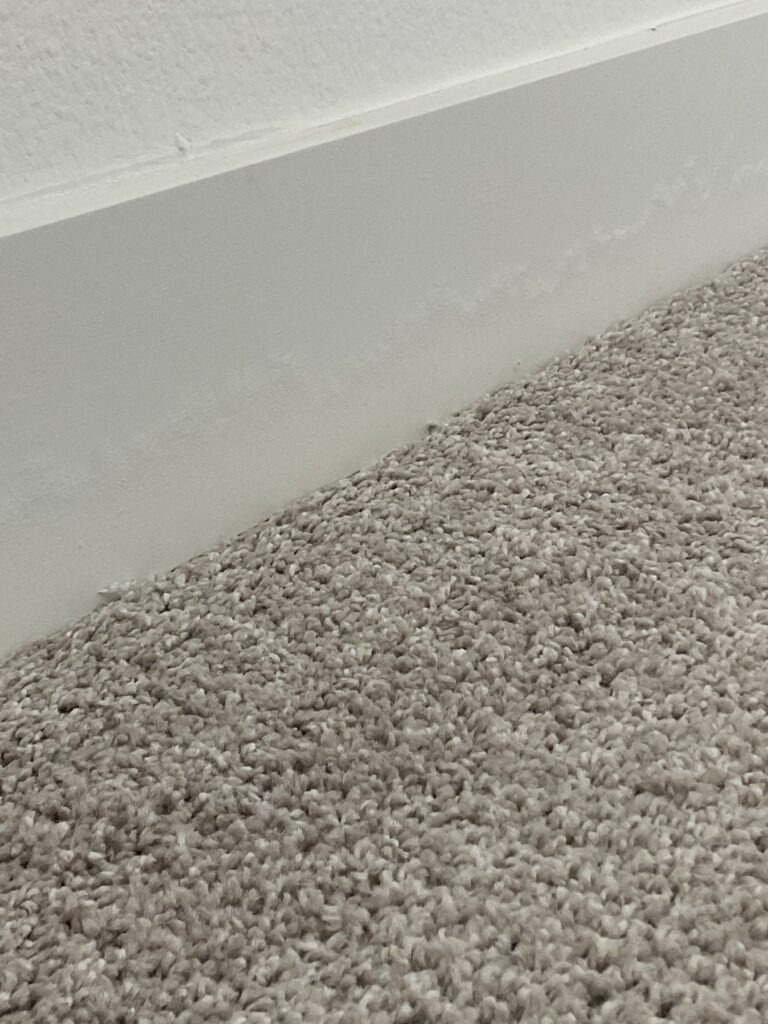 Baseboard and carpet edge showing a water-affected area inside an apartment in Waxahachie, TX